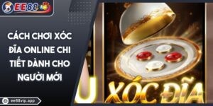 Cách Chơi Xóc Đĩa Online Chi Tiết Dành Cho Người Mới 6 Cách Chơi Xóc Đĩa Online Chi Tiết Dành Cho Người Mới
