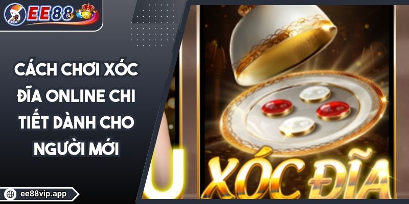 Cách Chơi Xóc Đĩa Online Chi Tiết Dành Cho Người Mới 1 Cách Chơi Xóc Đĩa Online Chi Tiết Dành Cho Người Mới