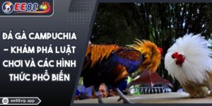 Đá Gà Campuchia - Khám Phá Luật Chơi Và Các Hình Thức Phổ Biến 9 Đá Gà Campuchia - Khám Phá Luật Chơi Và Các Hình Thức Phổ Biến