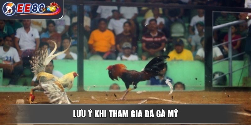 Đá Gà Mỹ - Tìm Hiểu Sâu Về Loại Hình Đá Gà Đỉnh Cao Hấp Dẫn 4 Lưu ý khi tham gia đá gà mỹ