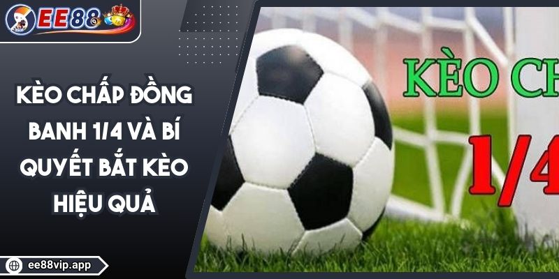 Kèo Chấp Đồng Banh 1/4 Và Bí Quyết Bắt Kèo Hiệu Quả 1 Kèo Chấp Đồng Banh 1/4 Và Bí Quyết Bắt Kèo Hiệu Quả
