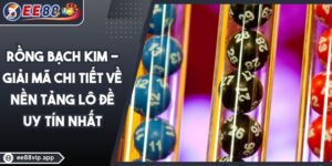 Rồng Bạch Kim - Giải Mã Chi Tiết Về Nền Tảng Lô Đề Uy Tín Nhất 11 Rồng Bạch Kim - Giải Mã Chi Tiết Về Nền Tảng Lô Đề Uy Tín Nhất