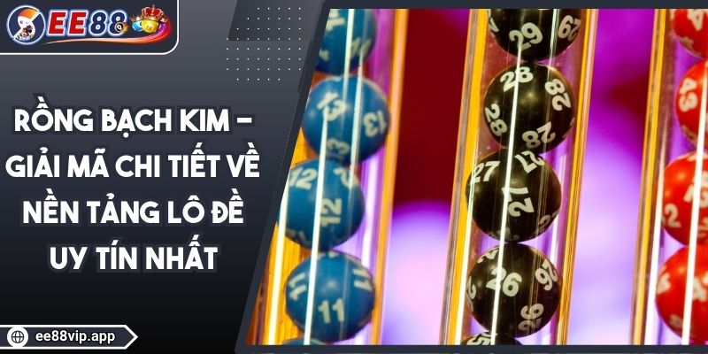 Rồng Bạch Kim - Giải Mã Chi Tiết Về Nền Tảng Lô Đề Uy Tín Nhất 1 Rồng Bạch Kim - Giải Mã Chi Tiết Về Nền Tảng Lô Đề Uy Tín Nhất