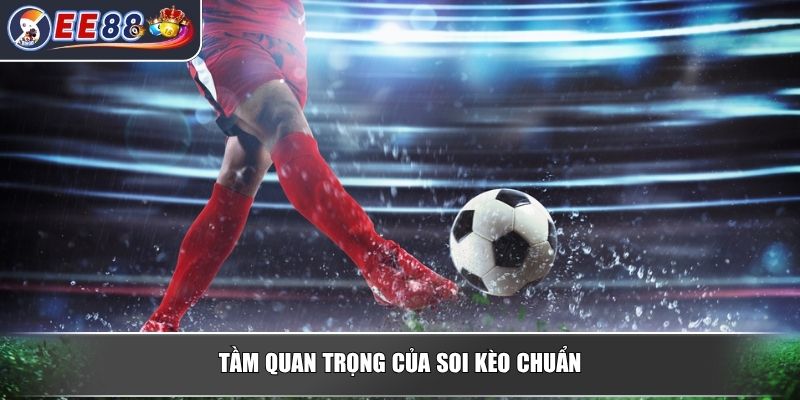 Soi kèo chuẩn tại EE88 – Bí quyết thành công cho người chơi 2 Tầm quan trọng của soi kèo chuẩn