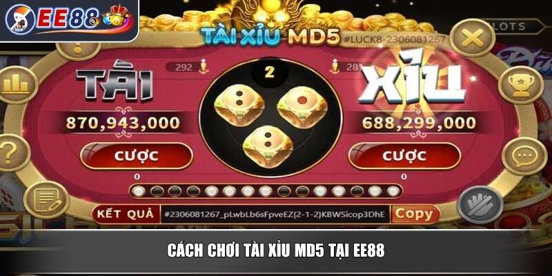 Tài Xỉu MD5 – Trải Nghiệm Công Nghệ Minh Bạch Tỷ Lệ Thắng Cao 3 Cách chơi tài xỉu MD5 tại EE88
