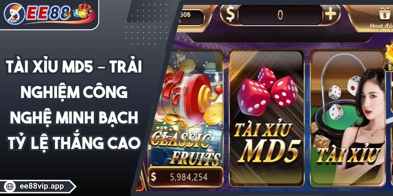 Tài Xỉu MD5 – Trải Nghiệm Công Nghệ Minh Bạch Tỷ Lệ Thắng Cao 1 Tài Xỉu MD5 – Trải Nghiệm Công Nghệ Minh Bạch Tỷ Lệ Thắng Cao