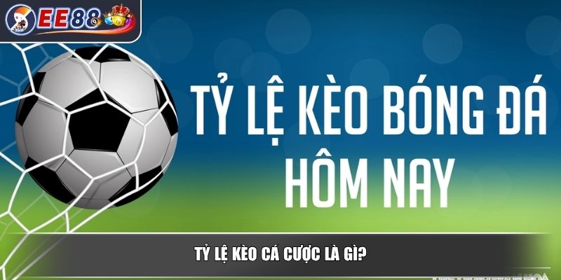 Tỷ Lệ Kèo Cá Cược - Kiến Thức Cần Biết Dành Cho Người Mới 2 Tỷ lệ kèo cá cược là gì?