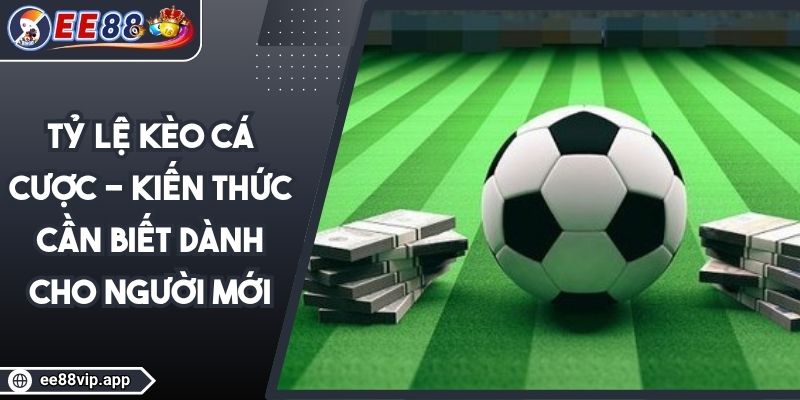Tỷ Lệ Kèo Cá Cược - Kiến Thức Cần Biết Dành Cho Người Mới 1 Tỷ Lệ Kèo Cá Cược - Kiến Thức Cần Biết Dành Cho Người Mới