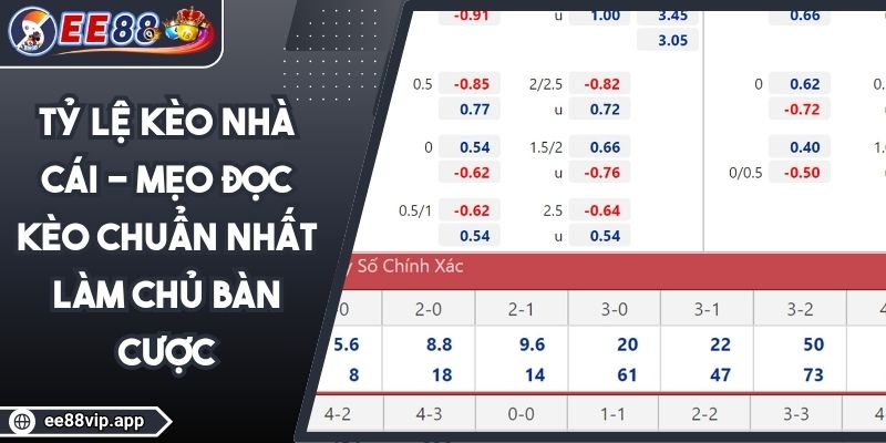 Tỷ Lệ Kèo Nhà Cái - Mẹo Đọc Kèo Chuẩn Nhất Làm Chủ Bàn Cược 1 Tỷ Lệ Kèo Nhà Cái - Mẹo Đọc Kèo Chuẩn Nhất Làm Chủ Bàn Cược